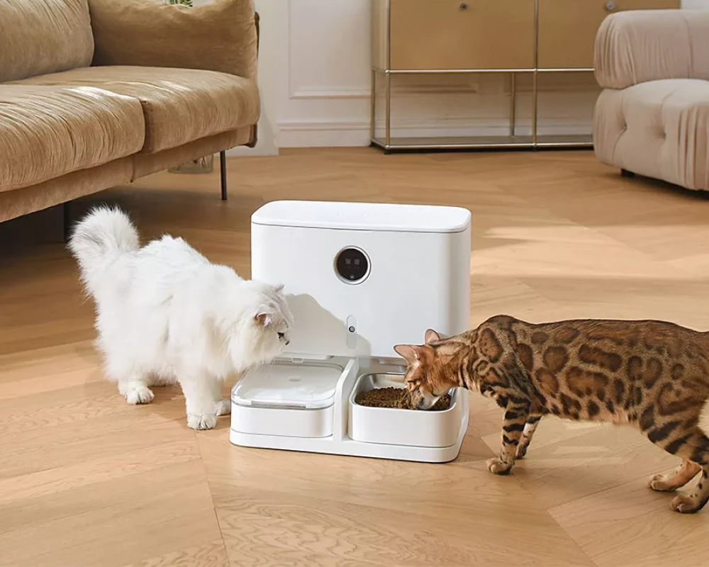 best automatic pet feeder