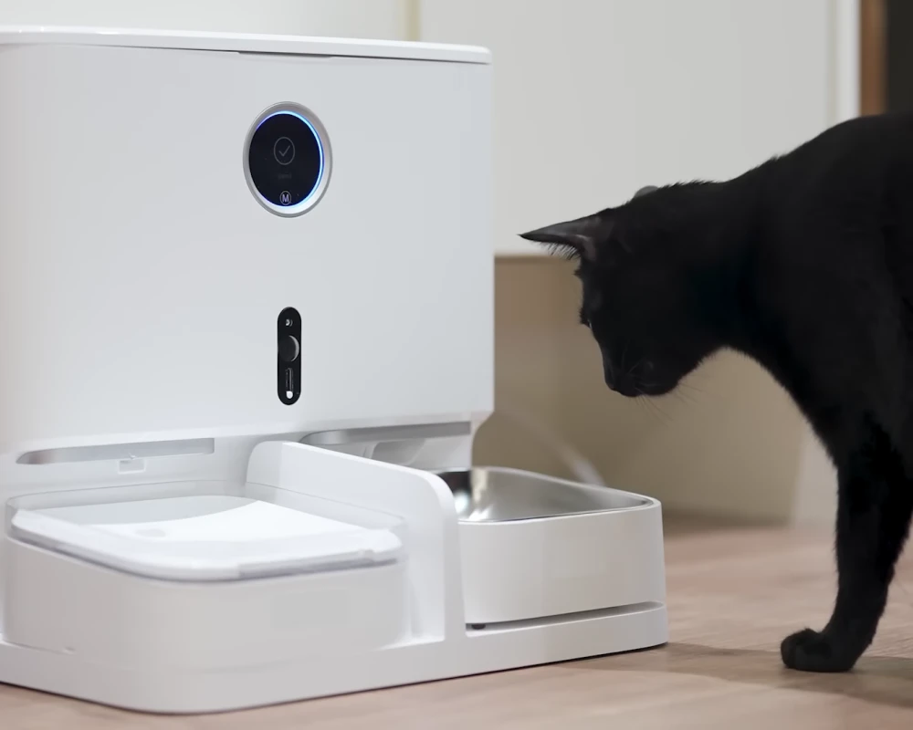 pet food dispenser automatic